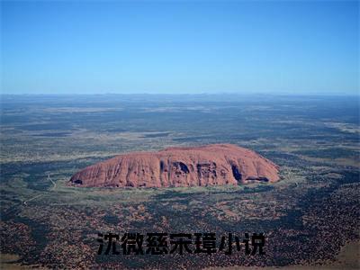 主角沈微慈宋璋小说免费阅读全文沈微慈宋璋-沈微慈宋璋小说番外沈微慈宋璋全文阅读