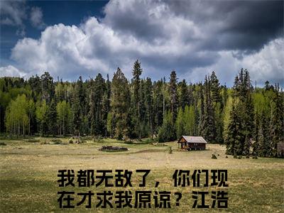 小说《我都无敌了，你们现在才求我原谅？江浩》全文免费阅读无弹窗-我都无敌了，你们现在才求我原谅？江浩小说全文在线赏析_笔趣阁