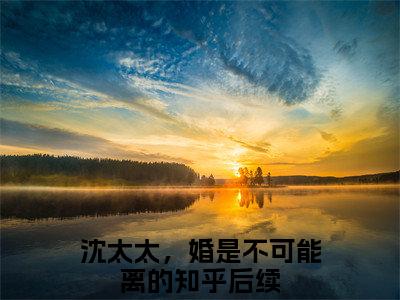 沈青石秦子衿沈太太，婚是不可能离的全文免费完整版，沈青石秦子衿最新章节完整版阅读