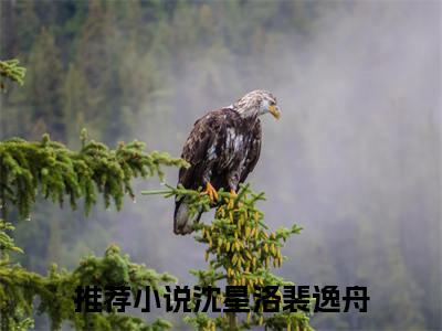 沈星洛裴逸舟全文免费无弹窗大结局_沈星洛裴逸舟免费沈星洛裴逸舟最新章节列表_笔趣阁