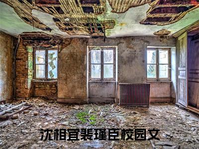 沈相宜裴瑾臣（沈相宜裴瑾臣）全文免费阅读无弹窗_沈相宜裴瑾臣（沈相宜裴瑾臣）全文阅读-笔趣阁