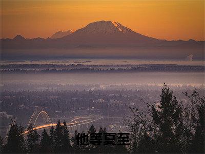 他等夏至小说（夏栀周淮屿）全文免费阅读无弹窗大结局_他等夏至（夏栀周淮屿）最新章节列表