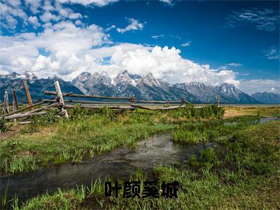 叶颜奚城免费阅读全文免费阅读无弹窗大结局_ (叶颜奚城小说免费阅读)叶颜奚城最新章节阅读