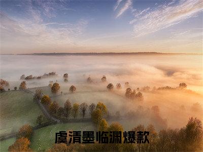 虞清墨临渊全网首发小说-虞清墨临渊无广告免费试读