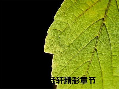 范媛媛陆轩抖音新书热门热荐- 范媛媛陆轩小说在线观看