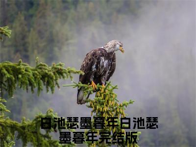 白池瑟墨暮年小说（白池瑟墨暮年）全文免费阅读无弹窗大结局_白池瑟墨暮年全文免费完结版阅读（白池瑟墨暮年）