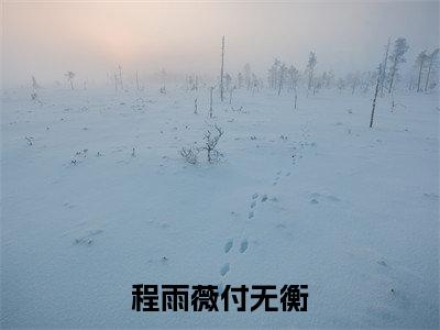 程雨薇付无衡小说在线阅读（程雨薇付无衡）全文免费阅读大结局_程雨薇付无衡最新章节列表笔趣阁