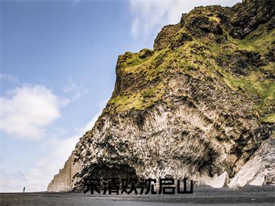 全章节完整《宋清欢沈启山》全文阅读《宋清欢沈启山》