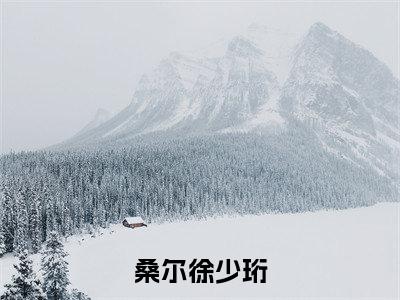 桑尔徐少珩全文免费阅读无弹窗大结局_章节列表_笔趣阁