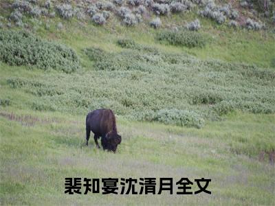 裴知宴沈清月热门小说全文免费阅读无弹窗大结局-裴知宴沈清月免费阅读大结局