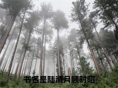 陆清月顾时昭（陆清月顾时昭）全文免费大结局，陆清月顾时昭结局在线阅读