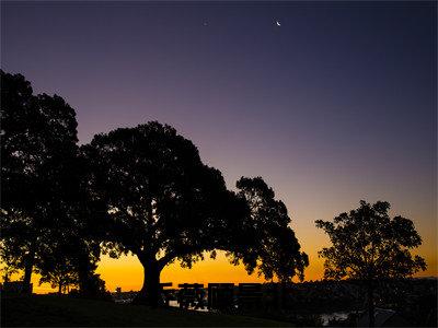 乔薇顾景北（乔薇顾景北）小说全文免费阅读无弹窗-乔薇顾景北小说全文免费阅读大结局笔趣阁