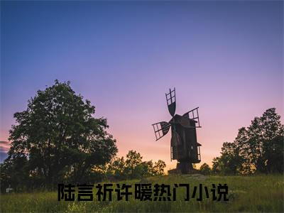 陆言祈许暖（陆言祈许暖）小说第20章第3节讲述的是什么？陆言祈许暖小说在线阅读