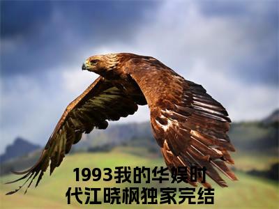 1993我的华娱时代江晓枫小说最新试读_小说名是(1993我的华娱时代江晓枫)