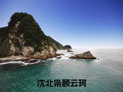 沈北枭顾云珂（沈北枭顾云珂）最新完结免费阅读-（沈北枭顾云珂）悬疑小说在线阅读