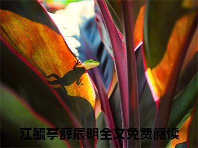 江毓亭薛辰明（江毓亭薛辰明）完整版小说免费阅读全文-江毓亭薛辰明最新在线阅读