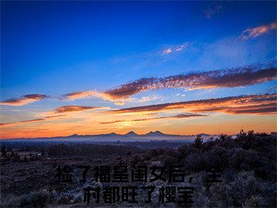 捡了福星闺女后，全村都旺了樱宝（捡了福星闺女后，全村都旺了樱宝）最新免费阅读-捡了福星闺女后，全村都旺了樱宝小说在线阅读