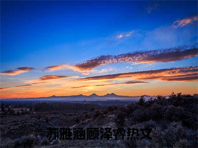 苏雅涵顾泽睿（苏雅涵顾泽睿）小说-苏雅涵顾泽睿最新章节免费阅读