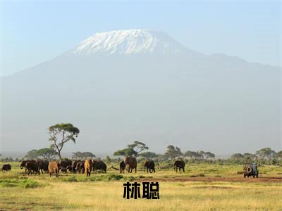 双面美女（大结局小说全集完整版）林聪小说_双面美女全文阅读笔趣阁