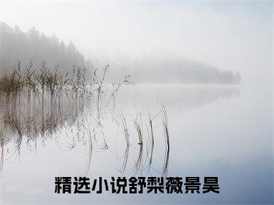 舒梨薇景昊（舒梨薇景昊小说）全文免费阅读无弹窗大结局_（舒梨薇景昊无弹窗）