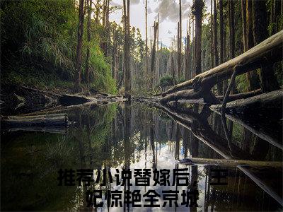 沈宸礼虞听晚全文免费阅读（替嫁后，王妃惊艳全京城免费阅读无弹窗）沈宸礼虞听晚最新章节列表