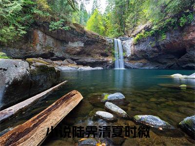 陆霁清夏时微（陆霁清夏时微）免费全文阅读小说_陆霁清夏时微最新章节列表-笔趣阁（陆霁清夏时微）