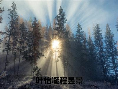 叶怡凝程昱景小说最新章节阅读-叶怡凝程昱景全文免费试读