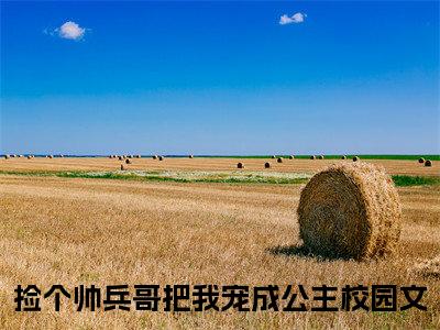 陶冉冉傅霆伟（捡个帅兵哥把我宠成公主）全文免费阅读无弹窗大结局_陶冉冉傅霆伟小说最新章节列表_笔趣阁