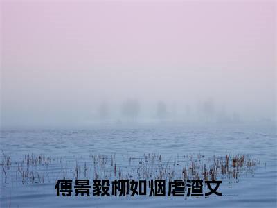 萌娃助攻：爹地追妻三十六计（傅景毅柳如烟）全文免费阅读无弹窗大结局_萌娃助攻：爹地追妻三十六计最新章节列表_笔趣阁（傅景毅柳如烟）