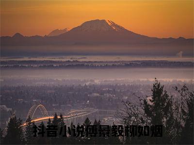 傅景毅柳如烟（萌娃助攻：爹地追妻三十六计）全网首发最火小说-主角萌娃助攻：爹地追妻三十六计的小说完整版免费阅读