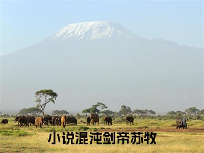 混沌剑帝苏牧后续+全文免费阅读_（混沌剑帝苏牧后续+全文免费阅读无弹窗）混沌剑帝苏牧最新章节列表笔趣阁（混沌剑帝苏牧后续+全文）