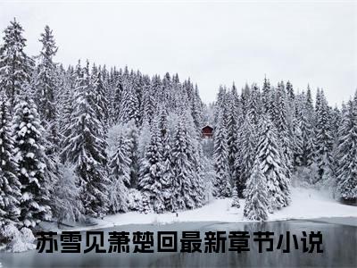 苏雪见萧楚回全文全文免费阅读_（苏雪见萧楚回免费阅读无弹窗）苏雪见萧楚回全文最新章节列表笔趣阁（苏雪见萧楚回）