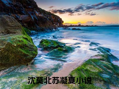 私藏读物《沈莫北苏凝夏》小说全文免费阅读-微小说（沈莫北苏凝夏）完整版阅读