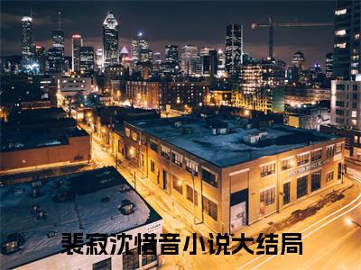 裴寂沈惜音（裴寂沈惜音）全文免费阅读无弹窗大结局_裴寂沈惜音最新章节列表_笔趣阁