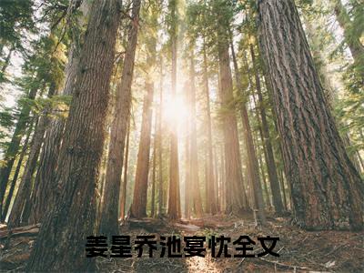 姜星乔池宴忱（姜星乔池宴忱）小说全文无删减-姜星乔池宴忱小说大结局免费阅读