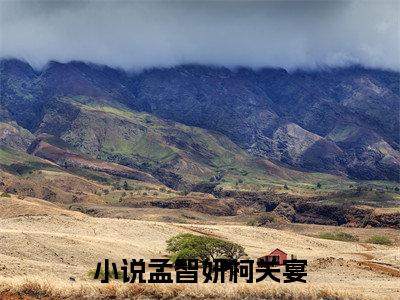 孟智妍柯关宴（孟智妍柯关宴）全文免费阅读无弹窗大结局_孟智妍柯关宴最新章节列表（孟智妍柯关宴）