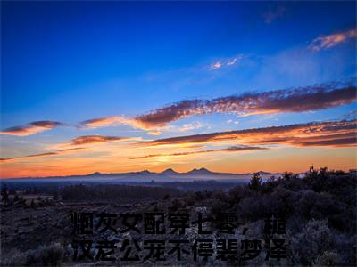 裴梦泽燕宸南最新热门小说-（炮灰女配穿七零，糙汉老公宠不停）最新章节免费阅读