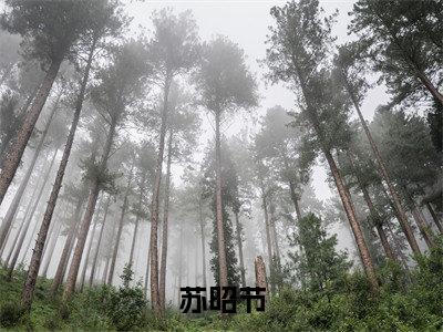 苏昭节全文免费（换亲后，庶女她成了当朝小福妻）全文免费阅读无弹窗大结局_（换亲后，庶女她成了当朝小福妻全文免费苏昭节）