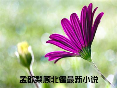 孟歆梨顾北霆小说最新章节试读_孟歆梨顾北霆是(孟歆梨顾北霆)小说主角热门推荐_笔趣阁