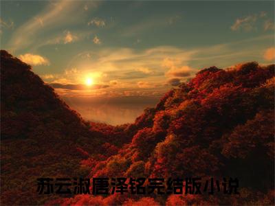 苏云淑唐泽铭全文免费阅读_苏云淑唐泽铭（苏云淑唐泽铭）小说在线阅读最新章节列表笔趣阁