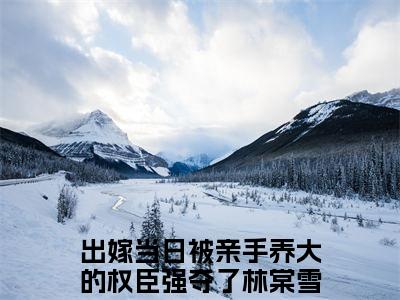 出嫁当日被亲手养大的权臣强夺了林棠雪精彩章节免费阅读-出嫁当日被亲手养大的权臣强夺了林棠雪小说完整版