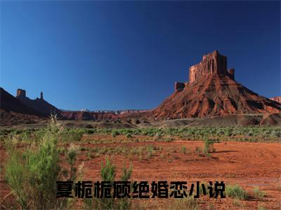 夏栀栀顾绝（夏栀栀顾绝）全文免费阅读无弹窗大结局_夏栀栀顾绝完整版小说阅读（夏栀栀顾绝）