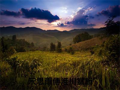 【新书】《宋思雨傅淮川》全文免费阅读无弹窗大结局-宋思雨傅淮川全文全章节免费阅读