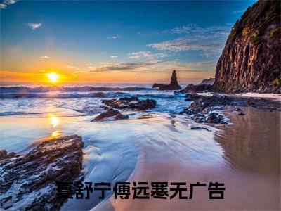 夏舒宁傅远寒(夏舒宁傅远寒)全文免费阅读大结局_夏舒宁傅远寒全文在线完本阅读