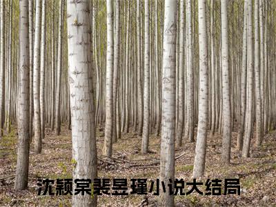 沈颖棠裴昱瑾全文免费阅读无弹窗大结局_(沈颖棠裴昱瑾小说)沈颖棠裴昱瑾无弹窗最新章节列表