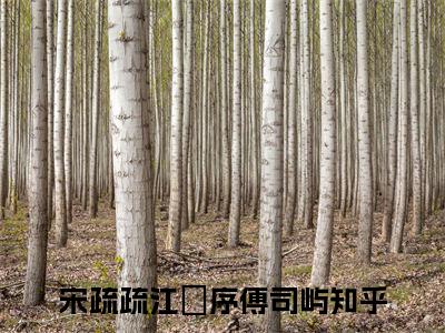 宋疏疏江璟序傅司屿（宋疏疏江璟序傅司屿）小说全文免费阅读无弹窗大结局_（宋疏疏江璟序傅司屿）小说全文免费阅读最新章节列表笔趣阁