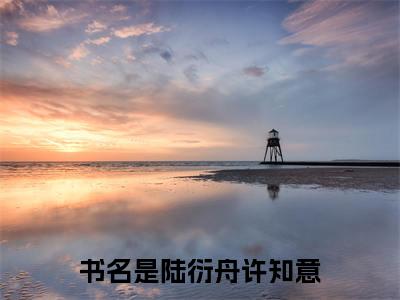 精选好书（陆衍舟许知意），陆衍舟许知意全文无删减版在线阅读
