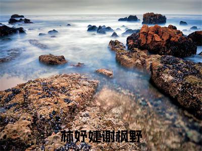 甜爆款小说林妤婕谢枫野-林妤婕谢枫野免费在线阅读