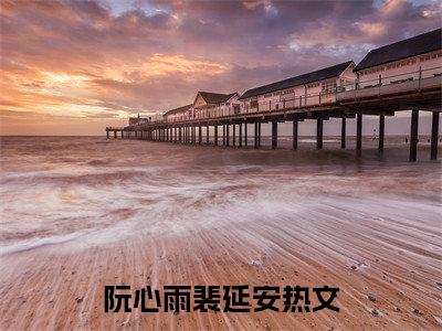阮心雨裴延安小说免费阅读 阮心雨裴延安免费阅读无弹窗小说
