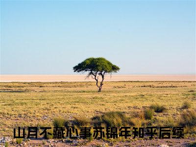 山月不藏心事苏锦年完整版《山月不藏心事苏锦年》全文阅读